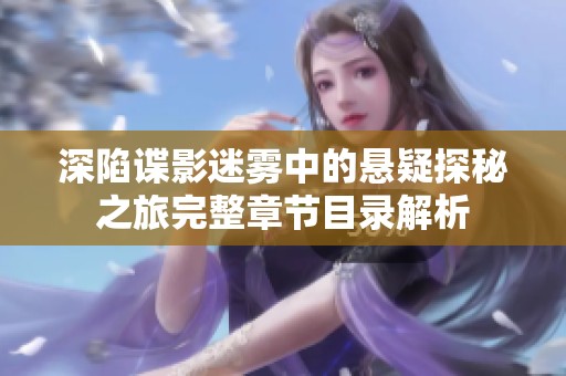 深陷谍影迷雾中的悬疑探秘之旅完整章节目录解析
